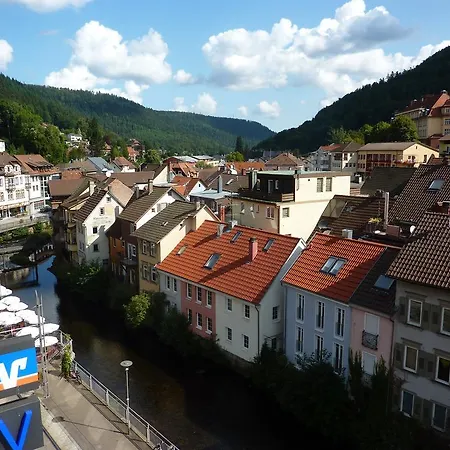 Traube 3*