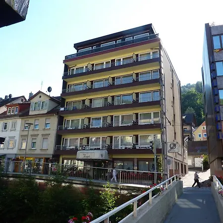 Traube Bad Wildbad