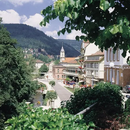 Traube Gasthof