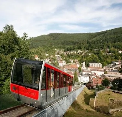 Traube Guest house 3*