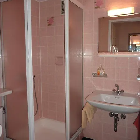 Traube 3* Bad Wildbad