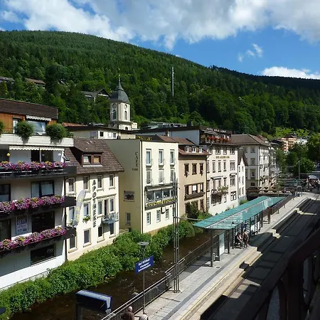 Traube Gasthof