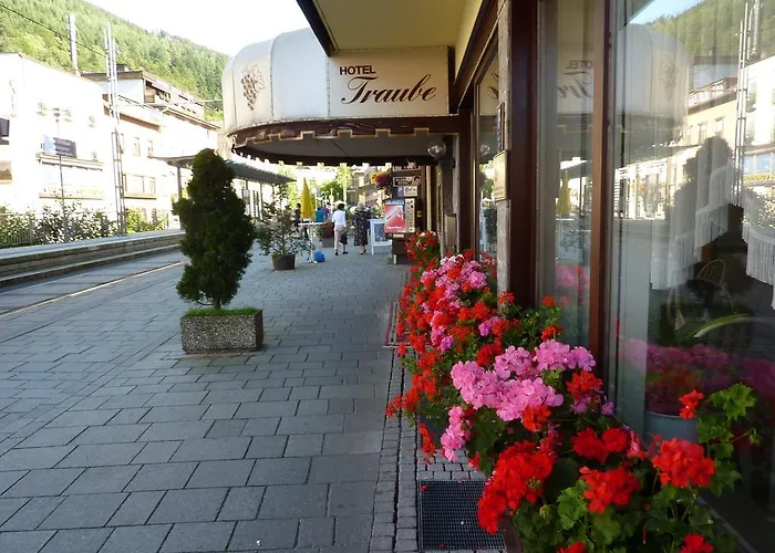 Traube 3* Bad Wildbad